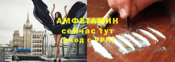 прущие грибы Богородск