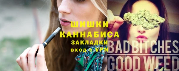 прущие грибы Богородск