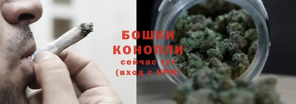 сатива Богданович