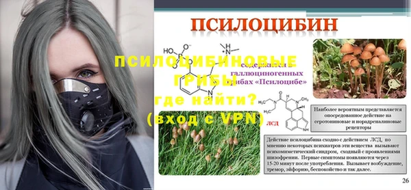 сатива Богданович