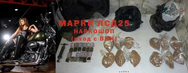 прущие грибы Богородск