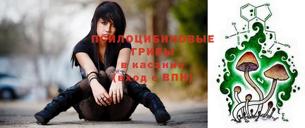 прущие грибы Богородск