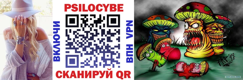 купить наркотики сайты  Дрезна  shop как зайти  Псилоцибиновые грибы Psilocybe 